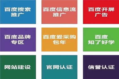 解析SEM竞价代运营的成功要素及案例